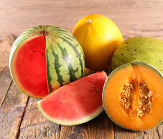conserver les melons