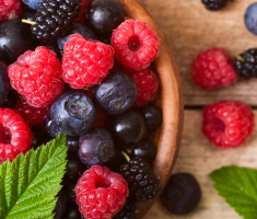 conserver les fruits rouges