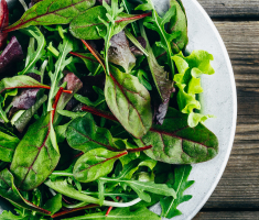 conserver les salades