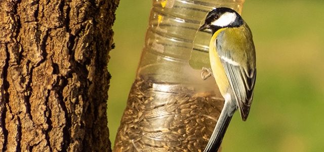 fabriquer son mangeoire &agrave; oiseaux - DIY