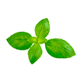 Bio
