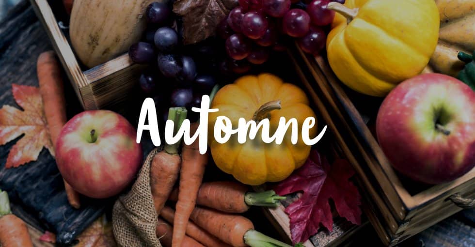 Automne Automne